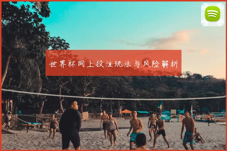 世界杯网上投注玩法与风险解析