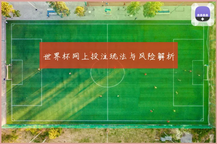 世界杯网上投注玩法与风险解析